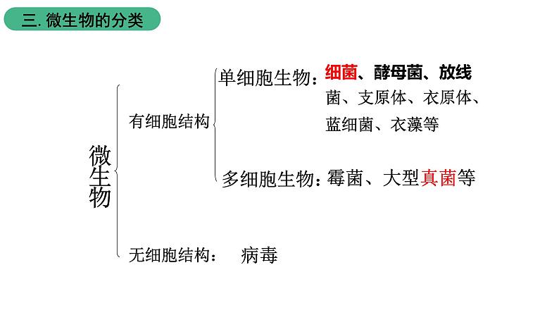 北师大版生物八上5.18.1《微生物在生物圈中的作用》课件05