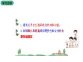 北师大版生物八上6.19.1《人的生殖和发育》课件