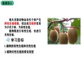 北师大版生物八上6.19.3《植物的生殖方式》课件