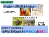 北师大版生物八上6.19.2《动物的生殖与发育》（第1课时）课件