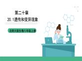 北师大版生物八上6.20.1《遗传和变异现象》课件
