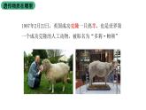 北师大版生物八上6.20.2 《性状遗传的物质基础》课件