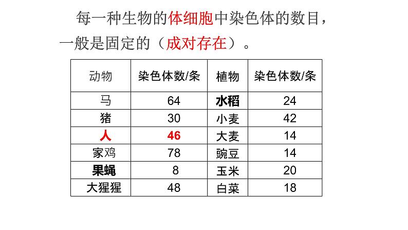 北师大版生物八上6.20.2 《性状遗传的物质基础》课件07