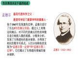 北师大版生物八上6.20.3《性状遗传有一定的规律性》课件