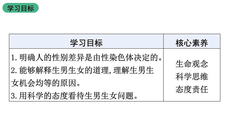 北师大版生物八上6.20.4 《性别和性别决定》课件02