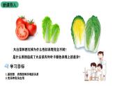 北师大版生物八上6.20.5《遗传与环境》课件