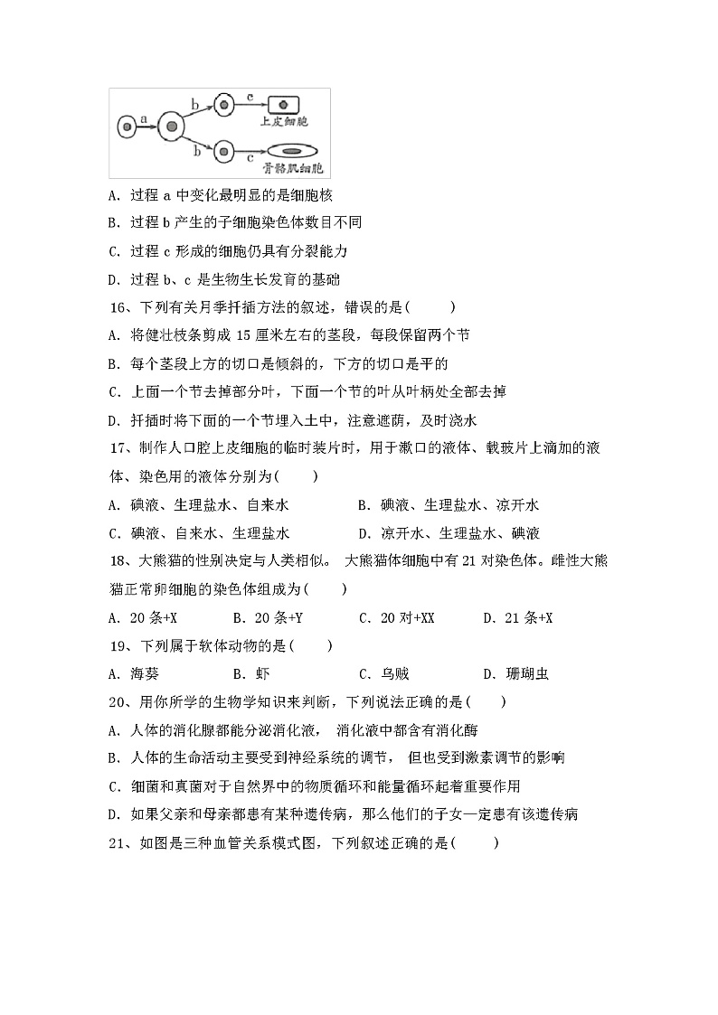 苏教版八年级生物(上册)期中试卷及答案第3页