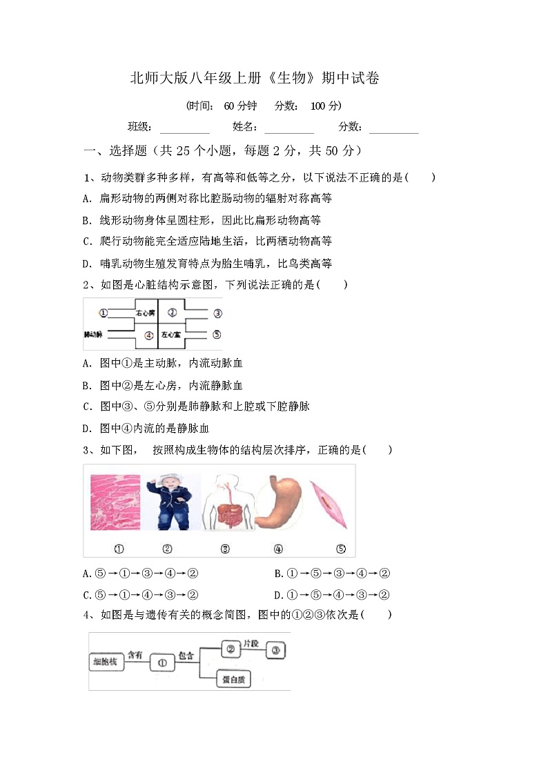 北师大版八年级上册《生物》期中试卷(及参考答案)第1页