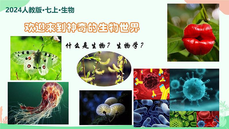 【核心素养】人教版初中生物七年级上册1.1.1《观察周边环境中的生物》课件＋教案（含教学反思）+学案01