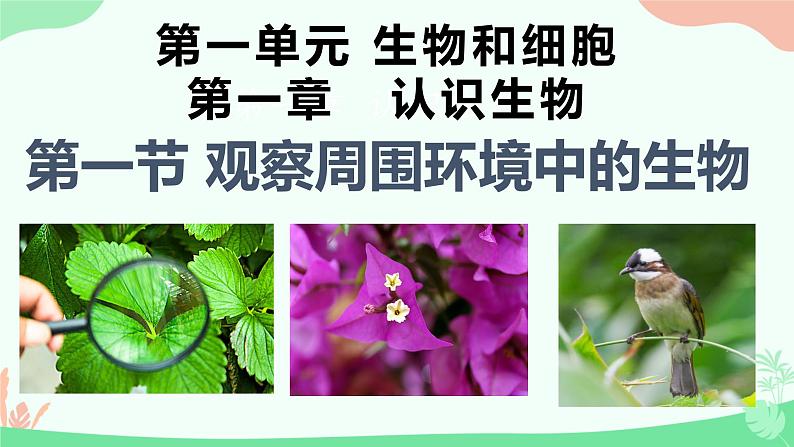 【核心素养】人教版初中生物七年级上册1.1.1《观察周边环境中的生物》课件＋教案（含教学反思）+学案03