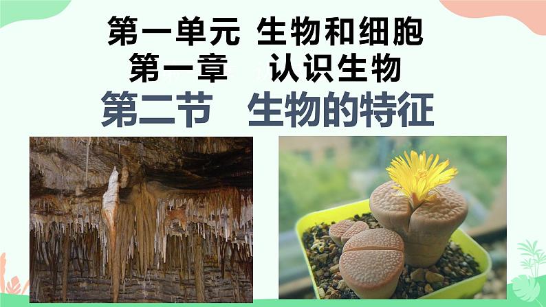 【核心素养】人教版初中生物七年级上册1.1.2《生物的特征》课件＋教案（含教学反思）+学案01