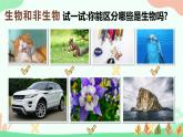 【核心素养】人教版初中生物七年级上册1.1.2《生物的特征》课件＋教案（含教学反思）+学案