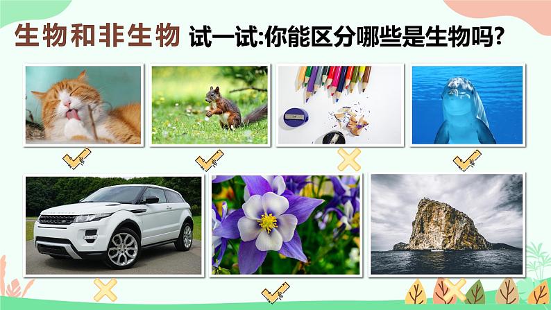 【核心素养】人教版初中生物七年级上册1.1.2《生物的特征》课件＋教案（含教学反思）+学案05