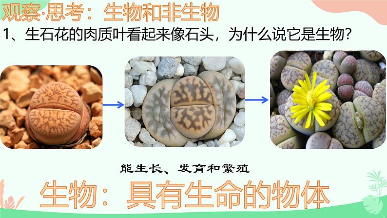 【核心素养】人教版初中生物七年级上册1.1.2《生物的特征》课件＋教案（含教学反思）+学案06