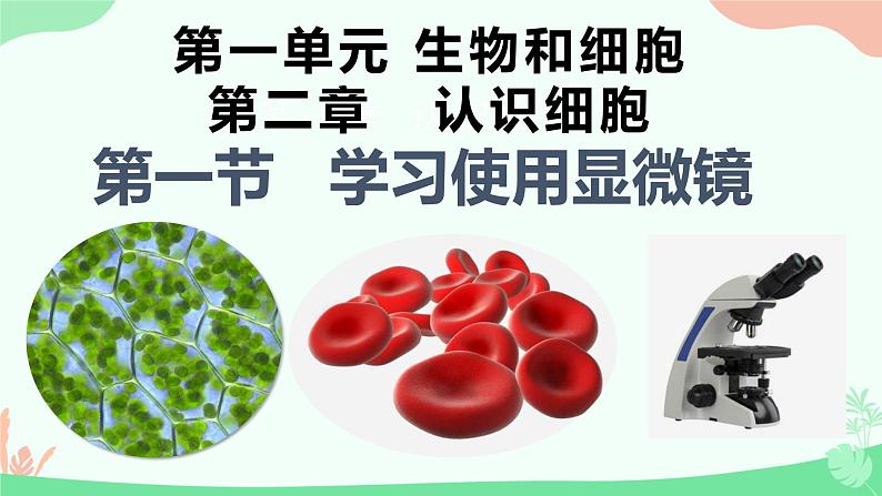 【核心素养】人教版初中生物七年级上册1.2.1《学习使用显微镜》课件＋教案（含教学反思）+学案01