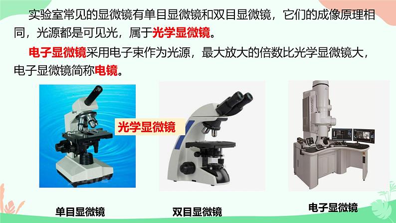 【核心素养】人教版初中生物七年级上册1.2.1《学习使用显微镜》课件＋教案（含教学反思）+学案05