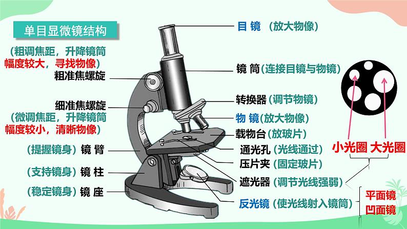 【核心素养】人教版初中生物七年级上册1.2.1《学习使用显微镜》课件＋教案（含教学反思）+学案07