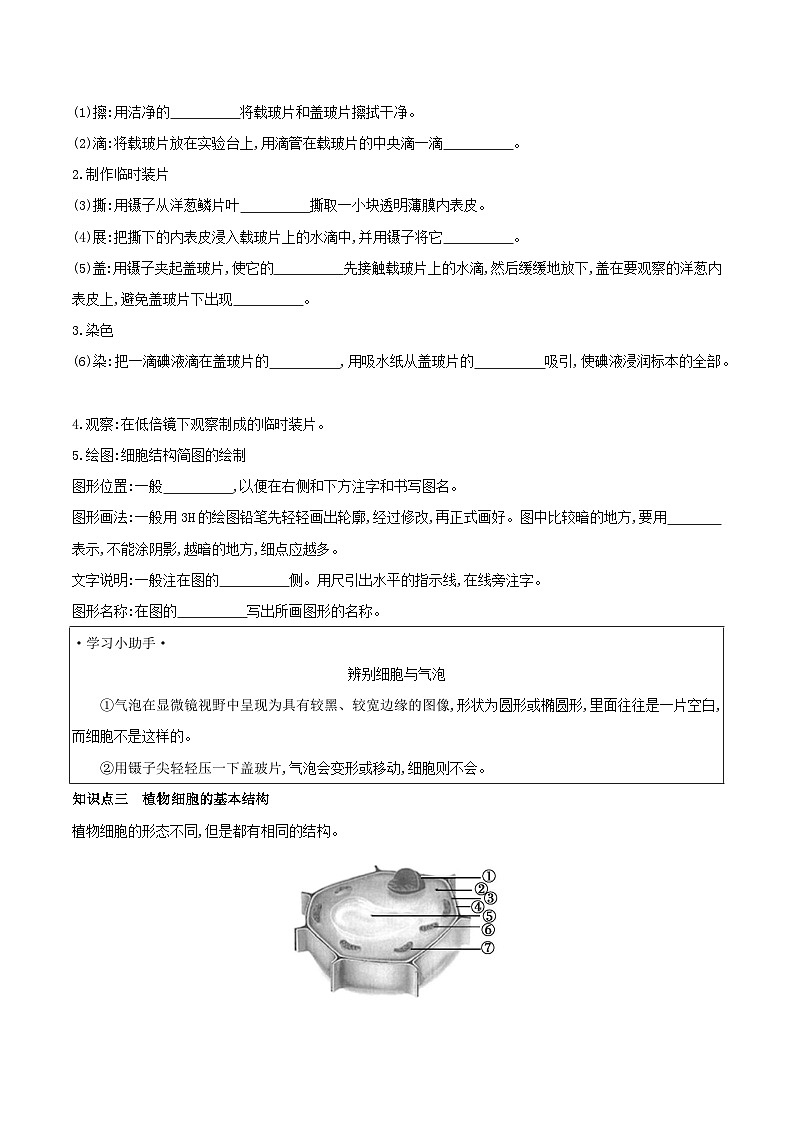【核心素养】人教版初中生物七年级上册1.2.2《植物细胞》课件＋教案（含教学反思）+学案02