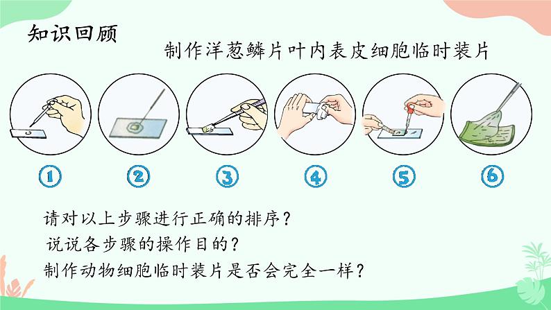 【核心素养】人教版初中生物七年级上册1.2.3《动物细胞》课件＋教案（含教学反思）+学案03