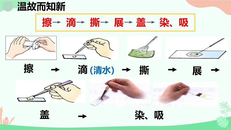 【核心素养】人教版初中生物七年级上册1.2.3《动物细胞》课件＋教案（含教学反思）+学案04