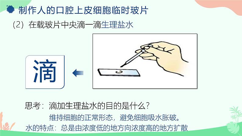 【核心素养】人教版初中生物七年级上册1.2.3《动物细胞》课件＋教案（含教学反思）+学案07