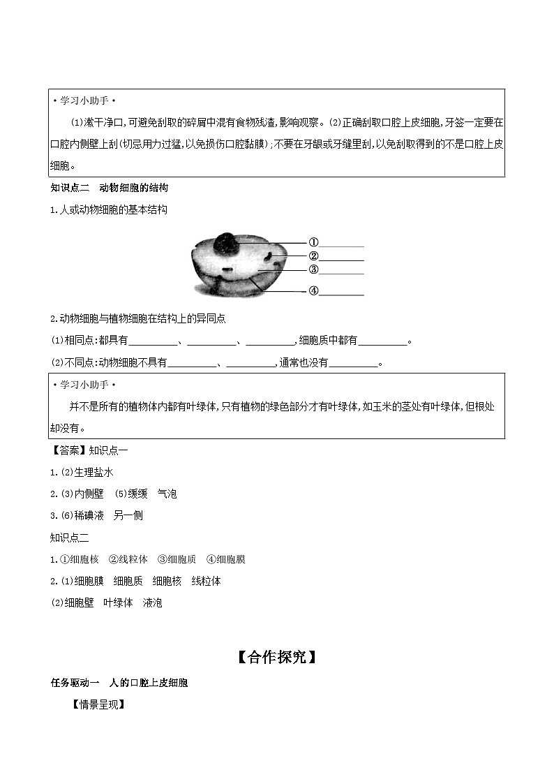 【核心素养】人教版初中生物七年级上册1.2.3《动物细胞》课件＋教案（含教学反思）+学案02