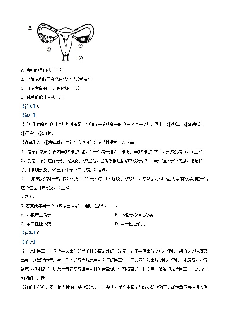 云南省昆明市盘龙区2023-2024学年七年级下学期期末生物学试题（解析版）第3页