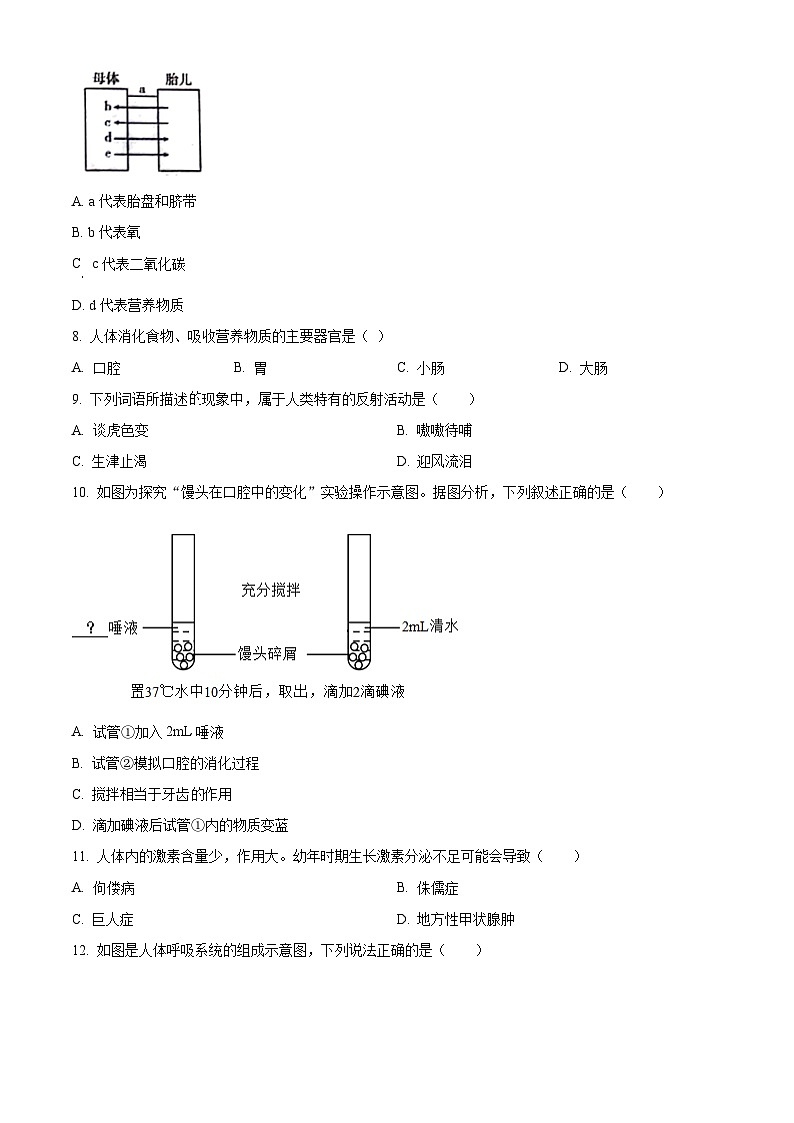 陕西省榆林市定边县2023-2024学年七年级下学期期末生物学试题（原卷版）第2页