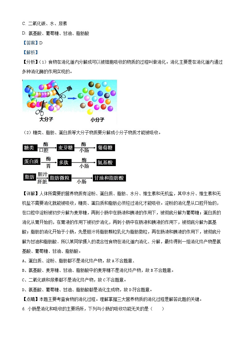 湖南省邵阳市隆回县2023-2024学年七年级下学期期末生物试题（解析版）第3页