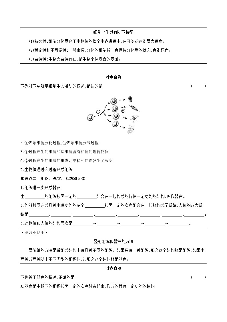 【核心素养】人教版初中生物七年级上册1.3.2《动物体的结构层次》课件＋教案（含教学反思）+学案02