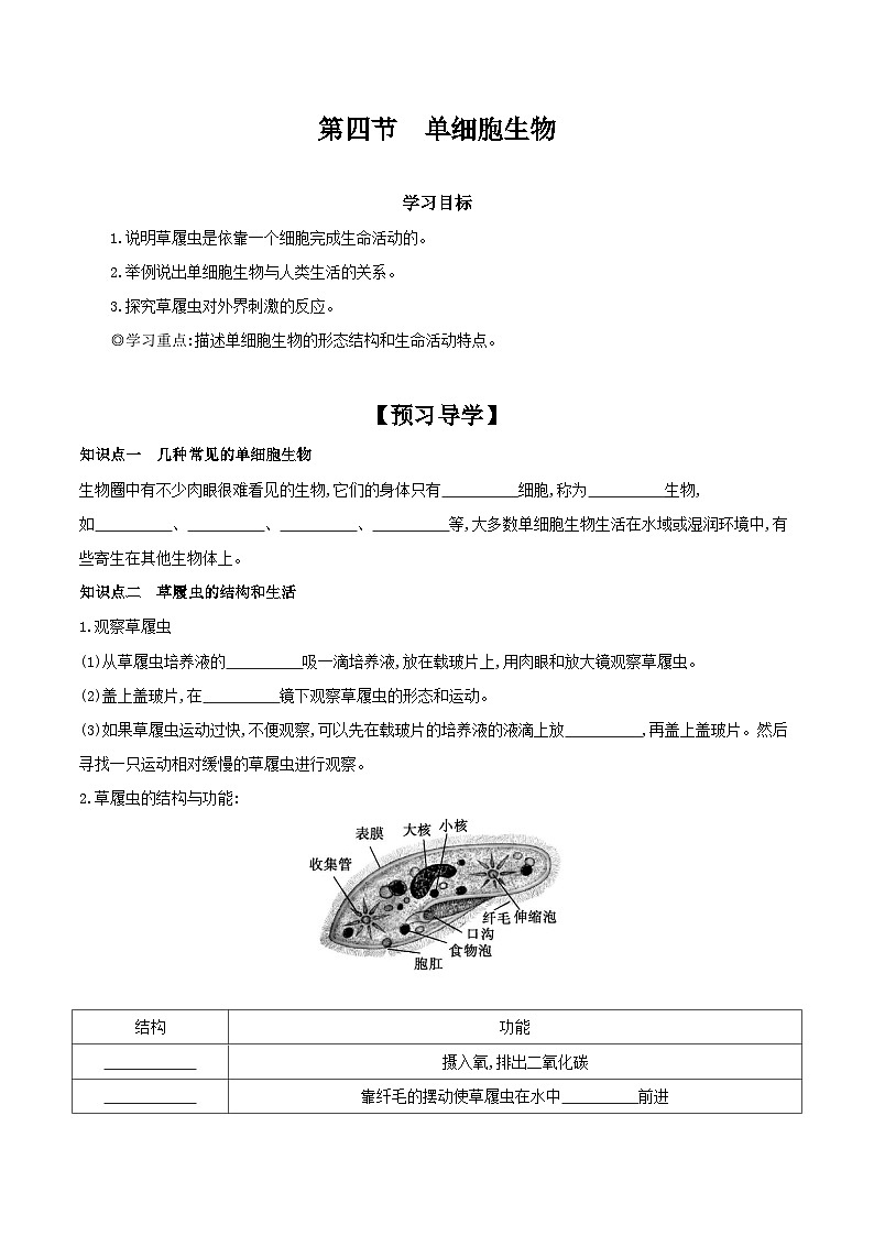 【核心素养】人教版初中生物七年级上册1.3.4《单细胞生物》课件＋教案（含教学反思）+学案01