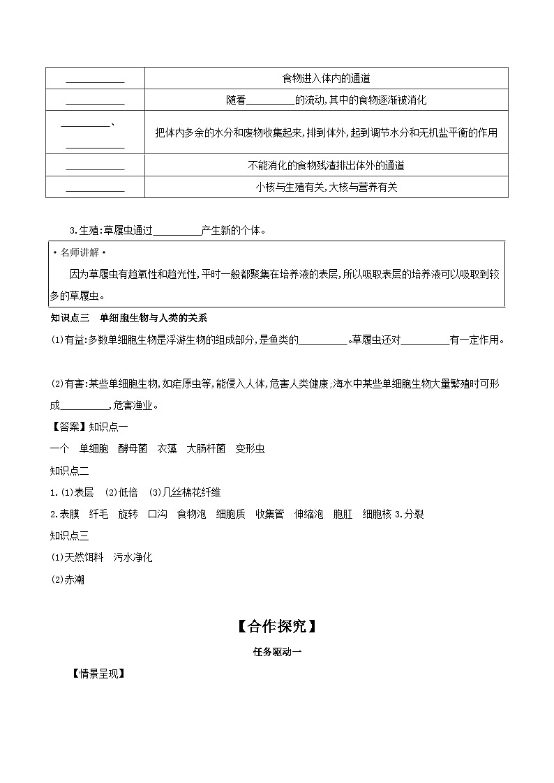 【核心素养】人教版初中生物七年级上册1.3.4《单细胞生物》课件＋教案（含教学反思）+学案02