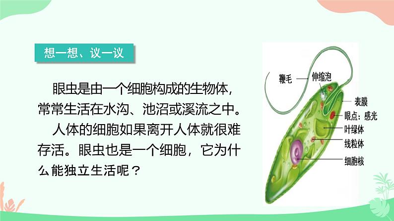 【核心素养】人教版初中生物七年级上册1.3.4《单细胞生物》课件＋教案（含教学反思）+学案03