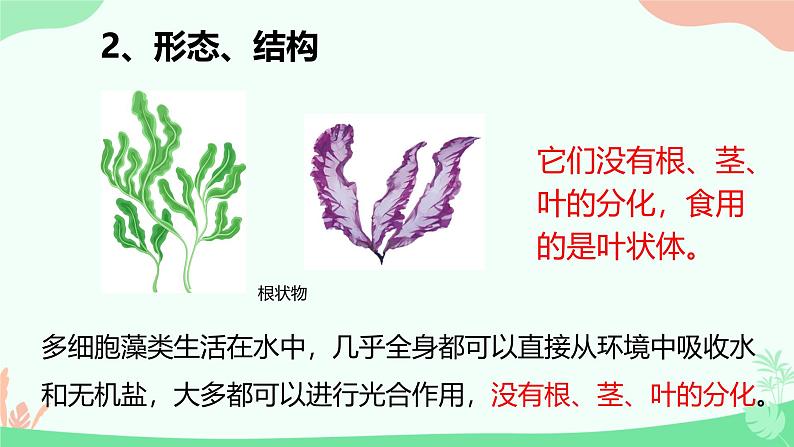 【核心素养】人教版初中生物七年级上册2.1.1《藻类、苔藓和蕨类》课件＋教案（含教学反思）+学案08