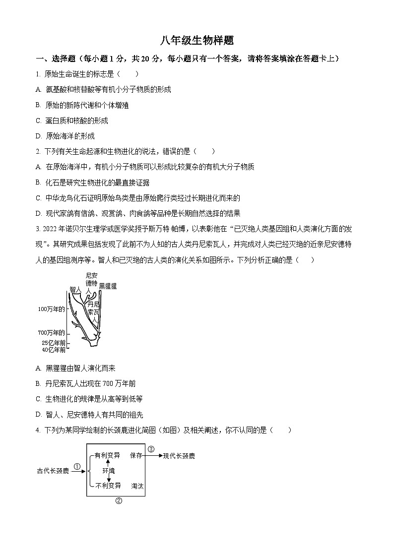 山东省菏泽市定陶区2023-2024学年八年级下学期期末生物学试题（原卷版+解析版）01
