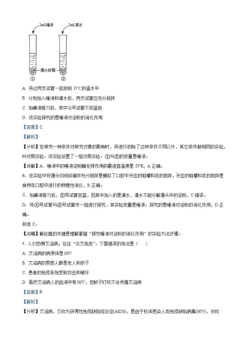 广西百色市田阳区2023-2024学年七年级下学期期末生物学试题（解析版）第2页