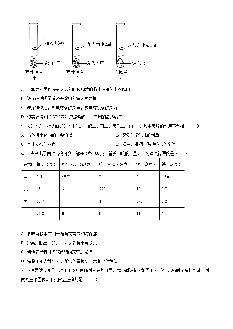 山东省济宁市金乡县2023-2024学年七年级下学期期末生物学试题（原卷版）02