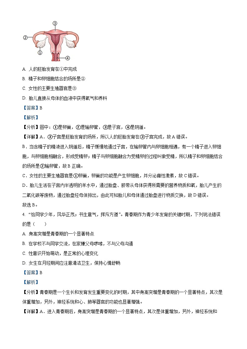 广东省梅州市兴宁市2023-2024学年七年级下学期期末生物学试题（解析版）第2页