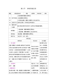 初中生物苏教版（2024）八年级上册第五单元 生物多样性第十四章 丰富多彩的生物世界第三节 神奇的微生物优秀表格教案