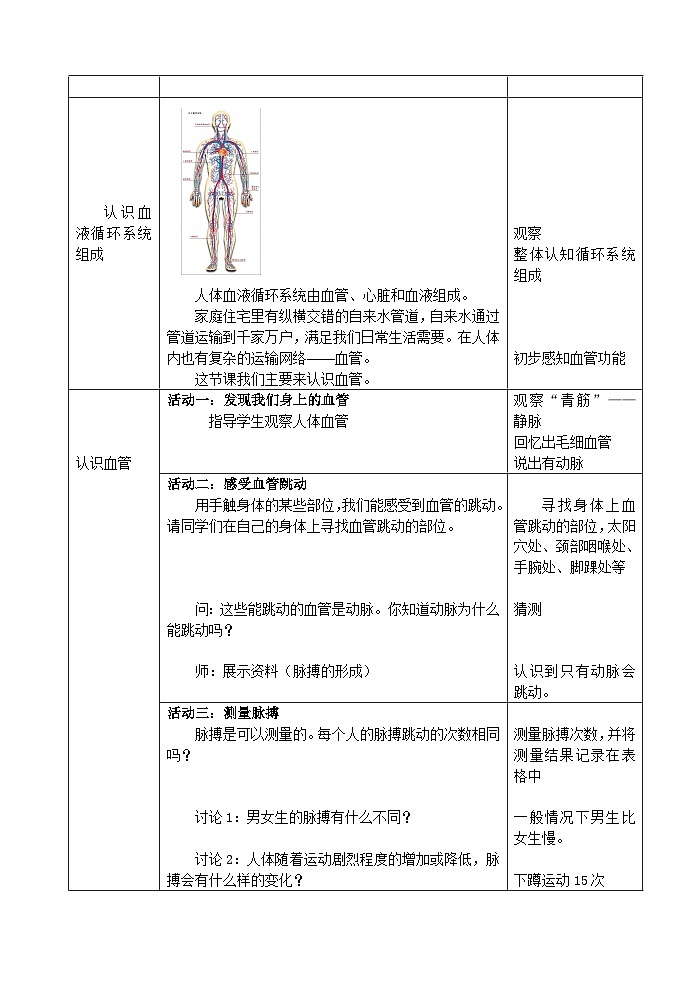 2024秋苏科版初中生物八年级上册15.1人体内物质的运输--血管 教案（表格式）02
