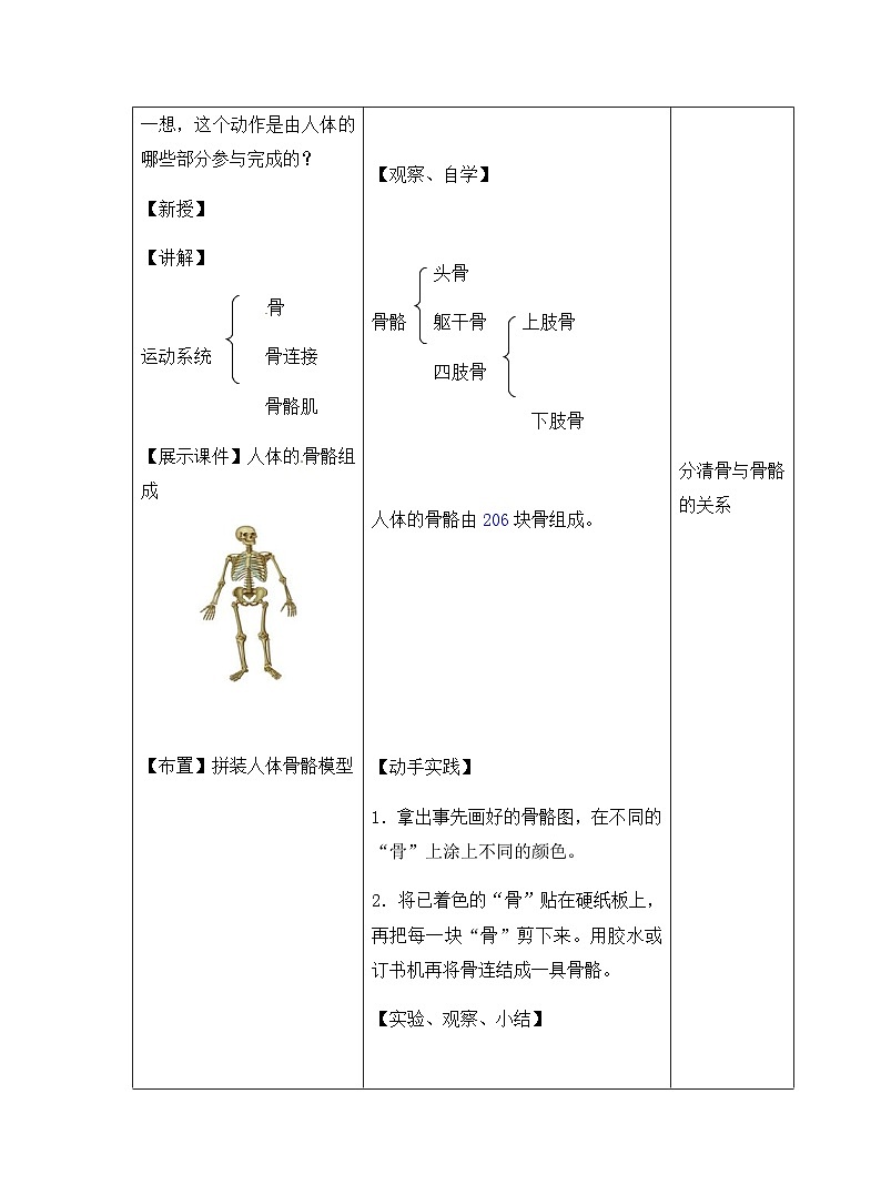 2024秋苏科版初中生物八年级上册第6单元第17章第1节《人体的运动》教学设计03