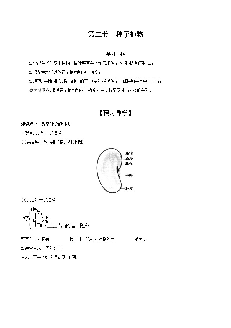 2.1.2 种子植物 学案（含答案） -生物人教版七年级上册第1页