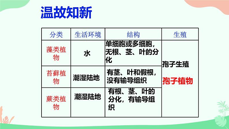 【核心素养】人教版初中生物七年级上册2.1.2《种子植物》课件第3页