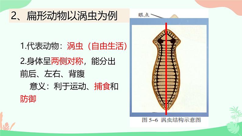 【核心素养】人教版初中生物七年级上册2.2.1《无脊椎动物》课件＋教案（含教学反思）+学案08