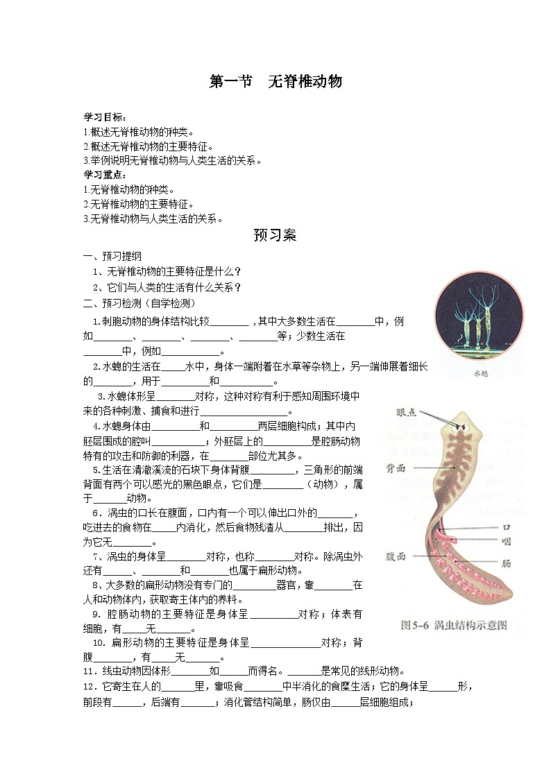【核心素养】人教版初中生物七年级上册2.2.1《无脊椎动物》课件＋教案（含教学反思）+学案01