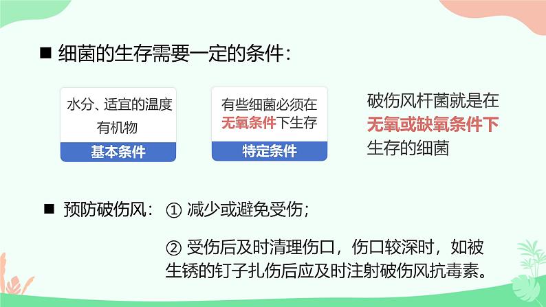 【核心素养】人教版初中生物七年级上册2.3.2《细菌》课件＋教案（含教学反思）+学案05