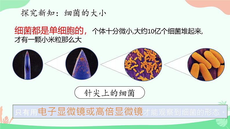 【核心素养】人教版初中生物七年级上册2.3.2《细菌》课件＋教案（含教学反思）+学案08