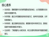 【核心素养】人教版初中生物七年级上册2.3.3《真菌》课件＋教案（含教学反思）+学案