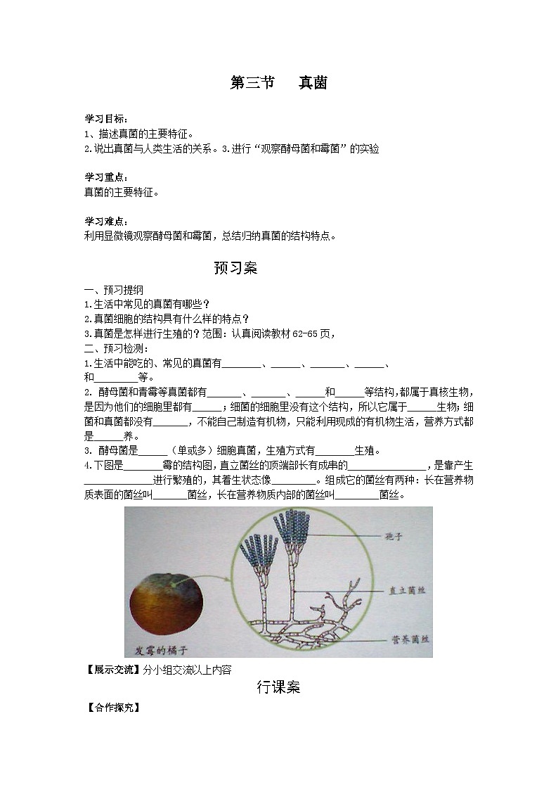 【核心素养】人教版初中生物七年级上册2.3.3《真菌》课件＋教案（含教学反思）+学案01