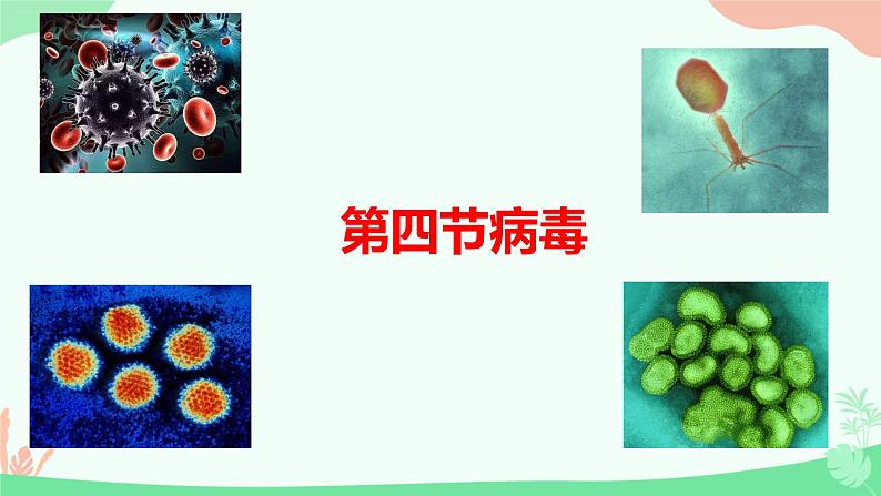 【核心素养】人教版初中生物七年级上册2.3.4《病毒》课件＋教案（含教学反思）+学案01